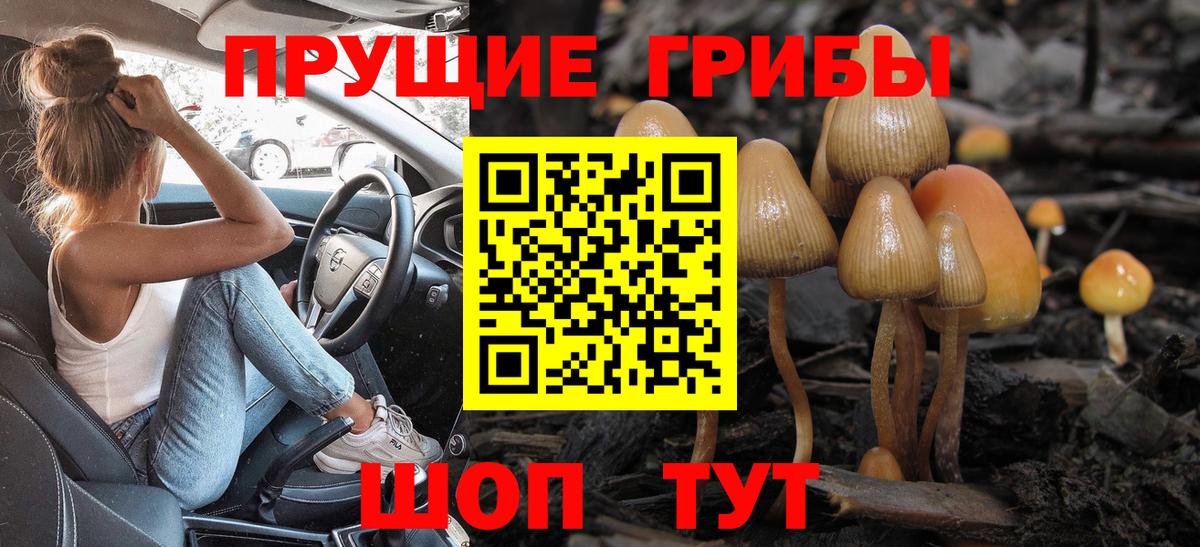 Галлюциногенные грибы Psilocybine cubensis Советская Гавань