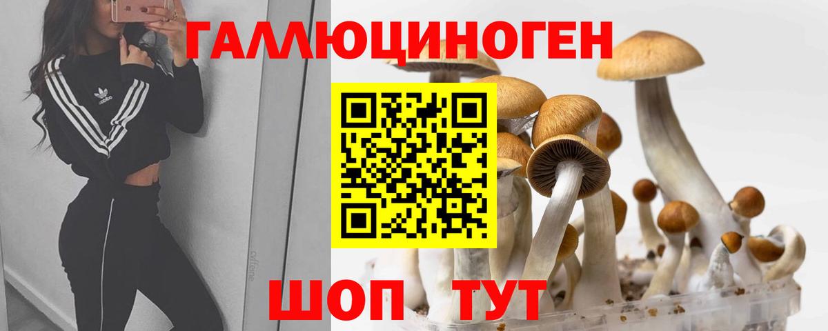 Советская Гавань  Галлюциногенные грибы MAGIC MUSHROOMS  Вход с VPN 